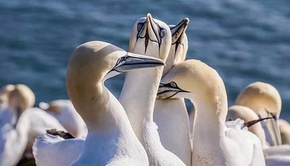 世界杯最佳门将-2026胡润全球富豪榜出炉：字节跳动张一鸣以5500亿元成中国首富；马斯克以5.5万亿元蝉联世界首富宝座