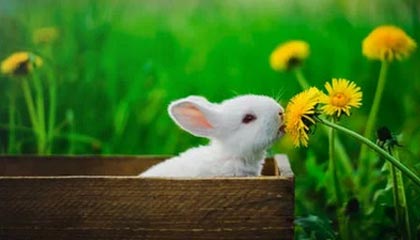 世界杯金靴奖-上海已是F1痛城！中国大奖赛即将在沪开幕，格子旗嘉年华、赛车节等热闹活动齐发车